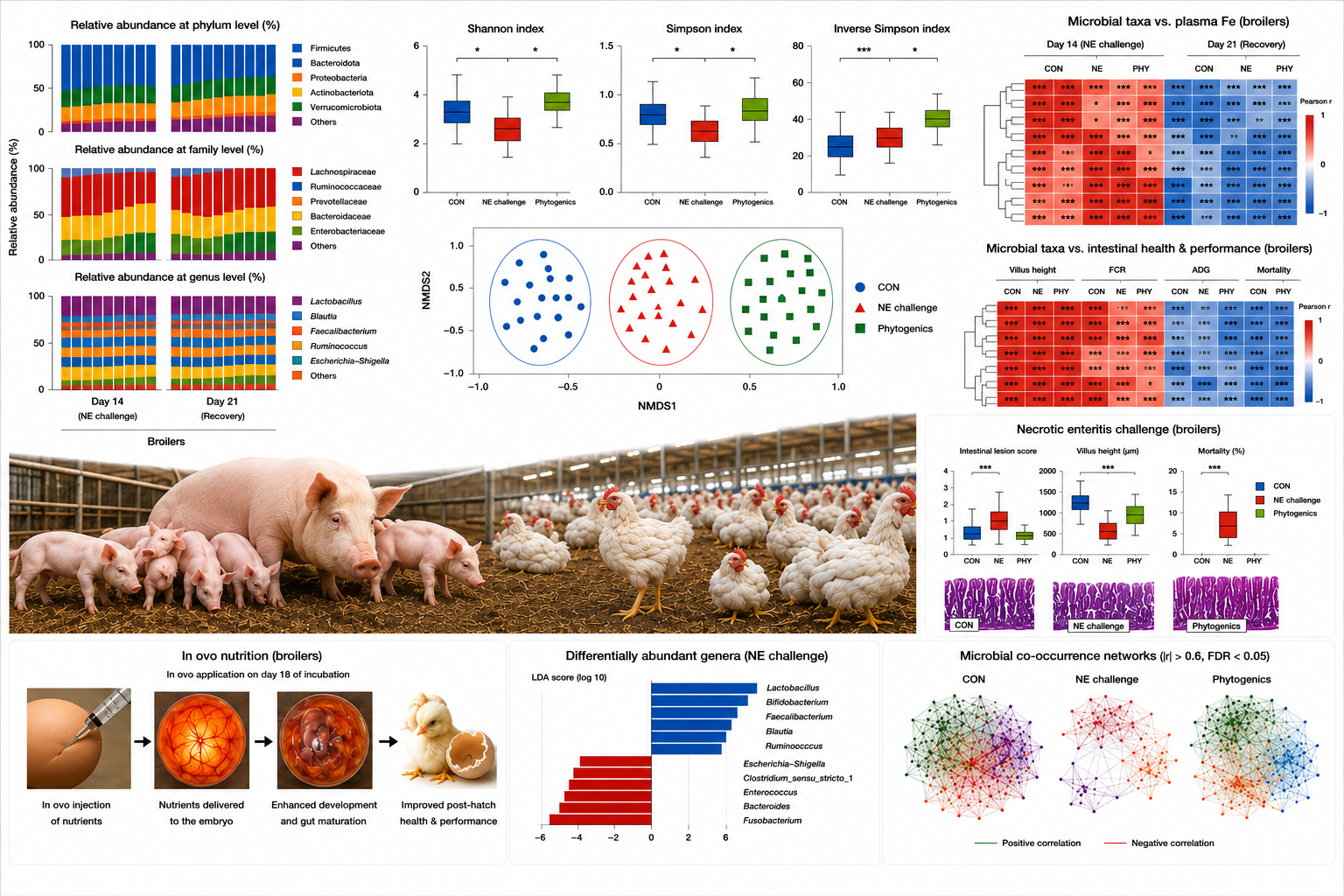 Yitbarek Lab poultry and microbiome research graphic